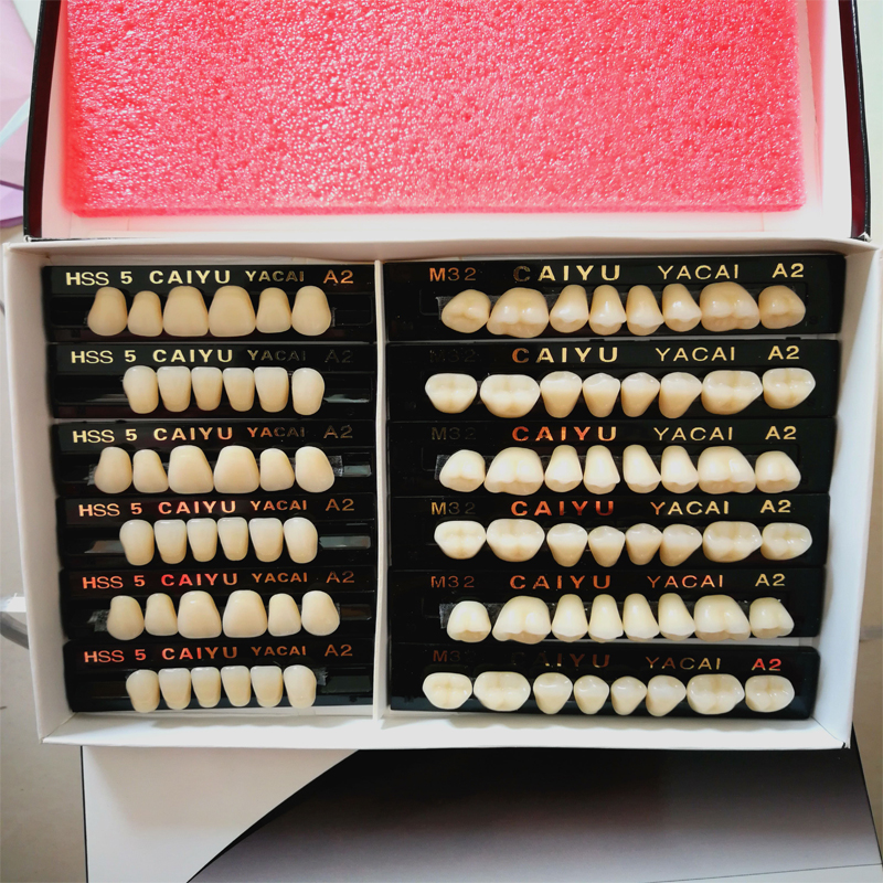 Denture Acrylic Resin Full Set Teeth two layer